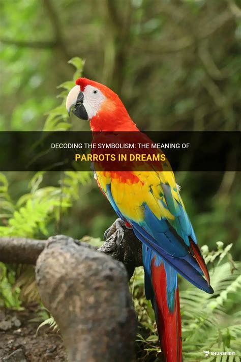 Exploring the Symbolism of Eliminating a Parrot in Dreams