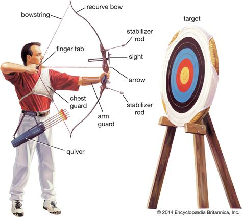 Exploring the Transformation of Archery Techniques and Equipment throughout History