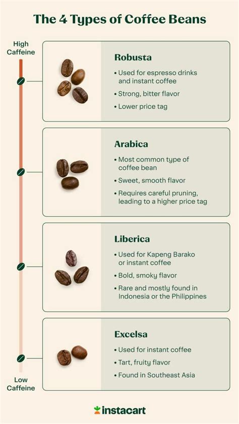 Exploring the Variety of Coffee Beans for Chilled Java Beverages