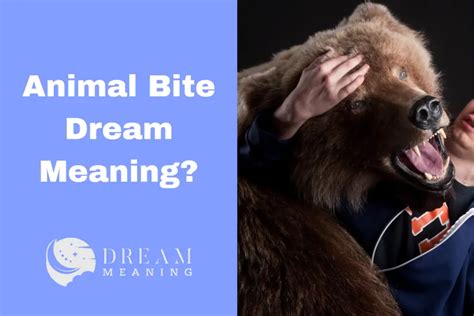 Exploring the Various Approaches to Addressing Animal Bite Dreams: Strategies for Coping and Finding Solutions