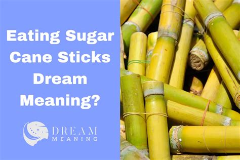 Exploring the cultural significance of sugar cane in dream analysis