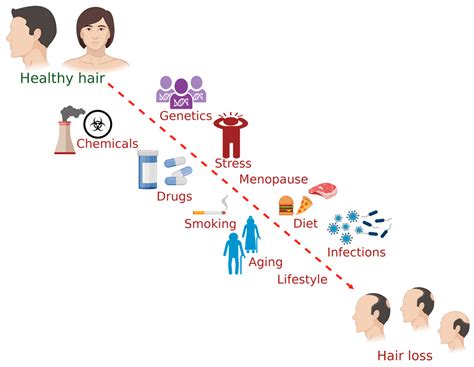 Factors Contributing to the Occurrence of Hair in the Throat