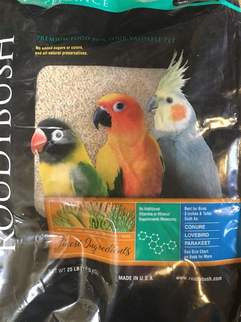 Feeding Stations: Providing Essential Nourishment for Your Feathered Companions