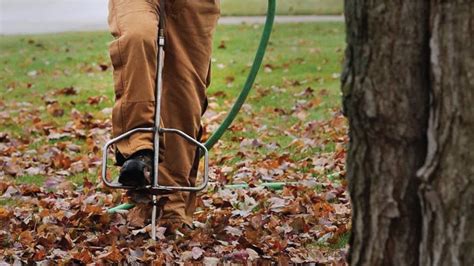 Fertilization Techniques for Cultivating a Vibrant and Robust Turf