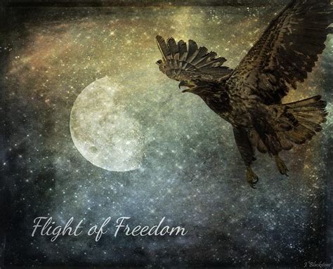 Finding Inspiration in the Flight of Freedom