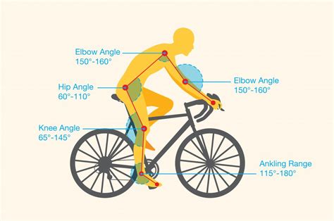 Finding the Ideal Bike: A Journey of Choice