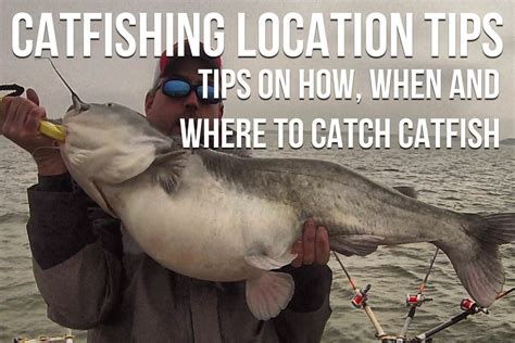 Finding the Ideal Catfishing Locations: Where to Cast Your Line for Optimal Results