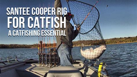 Finding the Ideal Location for a Successful Catfish Fishing Session