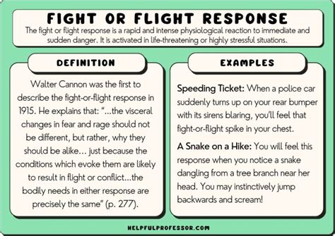 Flight or Fight? Decoding the Significance of Nightmares Through Escapism and Peril