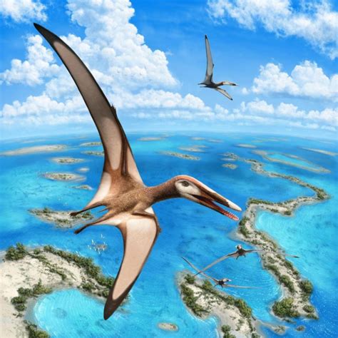 Flying Reptiles: Pterosaurs, the Majestic Ancient Giants of the Air