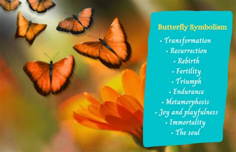 From Ancient Mythology to Modern Interpretations: Butterfly Symbolism Across Cultures