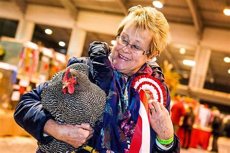 From Backyards to Competitions: The Thriving Community of Poultry Shows