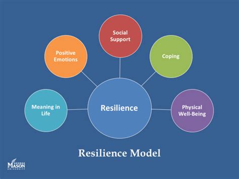 From Fear to Resilience: Exploring the Emotional Response