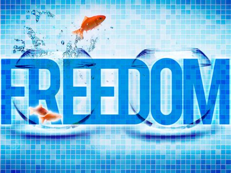 From Fins to Freedom: Fish as a Metaphor of Spiritual Awakening