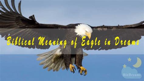 From Fragility to Strength: Transformative Meanings behind Baby Eagle Dreams