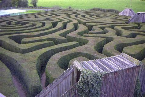 From Hedge Mazes to Mirror Mazes: A Closer Look at Different Maze Structures