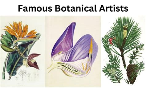 From Myth to Reality: The History of Botanical Flight