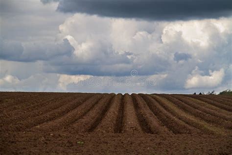 Furrows of the Mind: Delving into the Inner Terrain Mirrored in a Cultivated Landscape