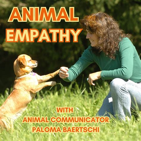 Furry Companions and Emotional Connections: Exploring the Significance of Canine Dreams in Understanding Our Relationships