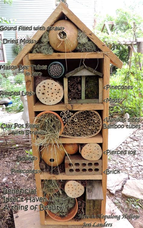 Garden Sanctuary: Creating a Haven for Birds and Bees