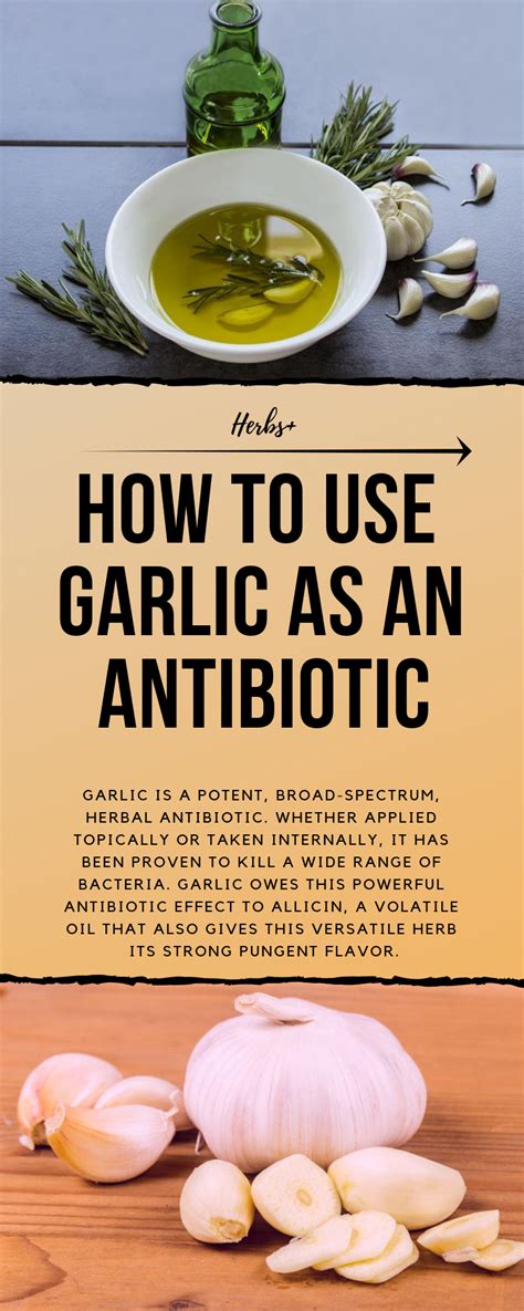 Garlic: A Potent Natural Remedy