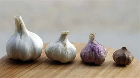 Garlic in Folklore and Superstitions