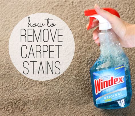 Getting Rid of Stubborn Stains and Spots