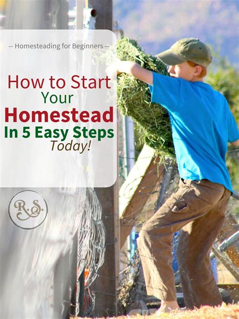 Getting Started: Essential Steps in Building Your Homestead