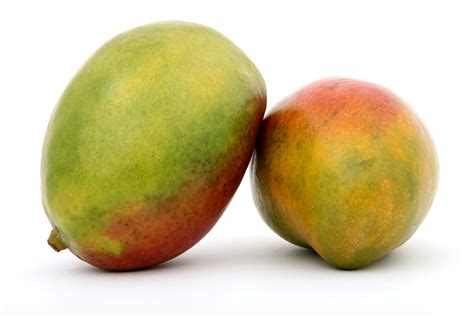 Green Mango: A Refreshing and Hydrating Tropical Fruit