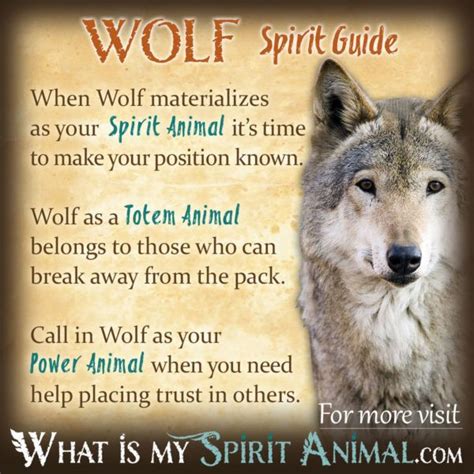 Guardians of the Night: Unveiling the Protective Symbolism within Infant Wolf Dreams