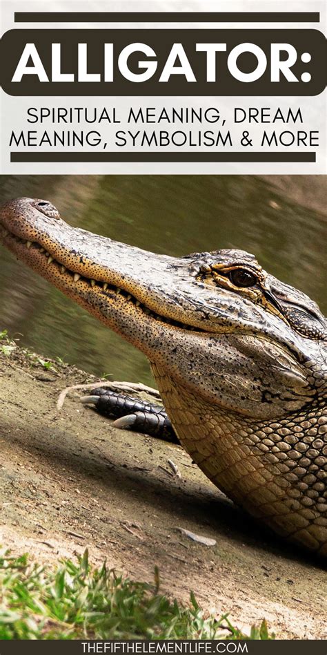 Guardians of the Spirit Realm: Interpreting Alligator Head Dreams in Spiritual Context