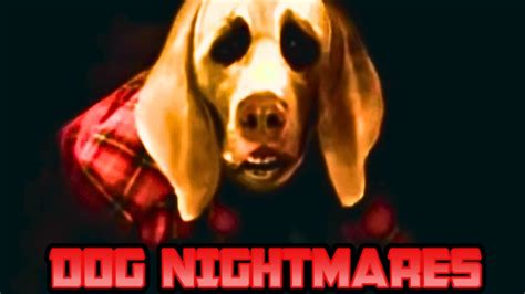 Guide to Decoding Terrifying Canine Nightmares