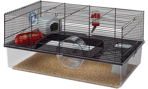 Hamsters: An Ideal Option for Compact Living Spaces