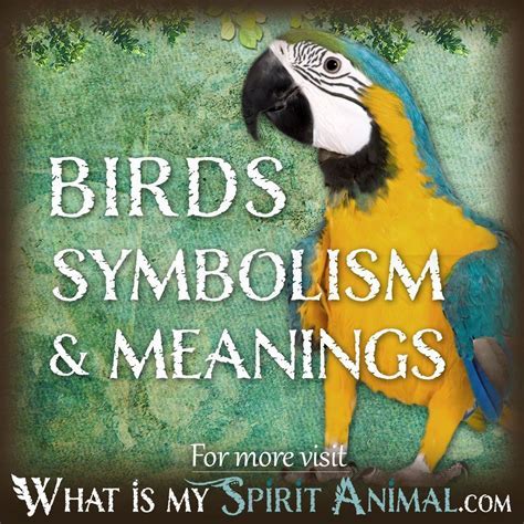 Harnessing the Power of Avian Reveries: Practical Tips for Personal Growth