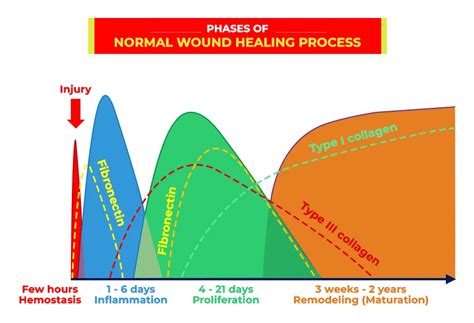 Healing Wounds: The Significance of Resolving Relationship Disputes