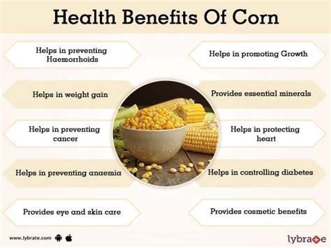 Health Benefits of Corn: Why It's a Nourishing Ingredient