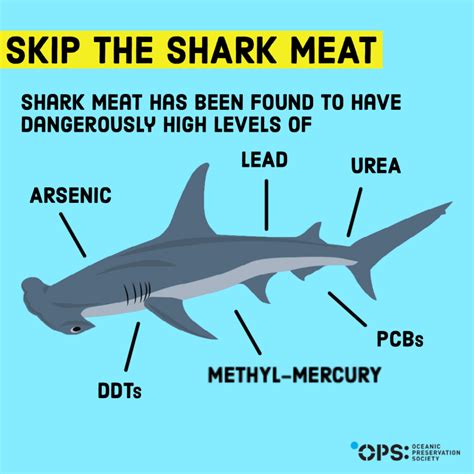 Health Risks Associated with Consumption of Shark Flesh in Reality