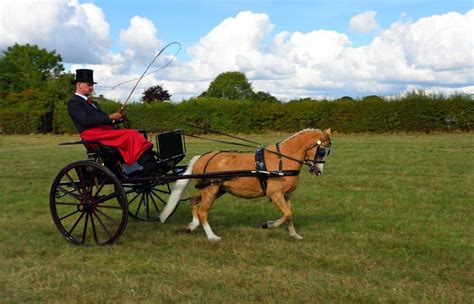 Hear inspiring stories of individuals who transformed their horse-drawn vehicle aspirations into reality