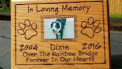 Holding on to Memories: Utilizing Dreams to Honor Our Departed Furry Friends