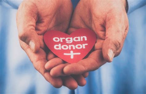 How Organ Transplants Positively Impact Lives: The Gift of Life