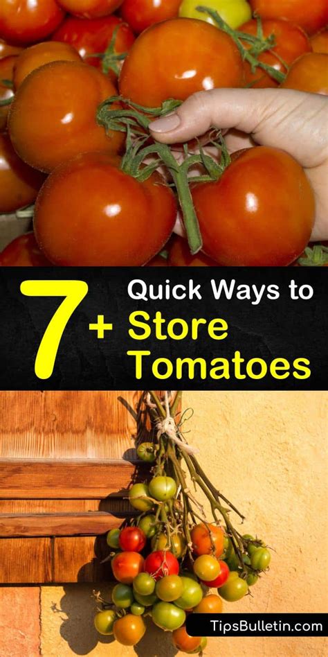 How to Select and Store Cherry Tomatoes for Optimal Freshness