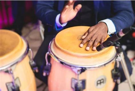 Immersing Ourselves in the World of Drums: Exploring the Enchanting Rhythm