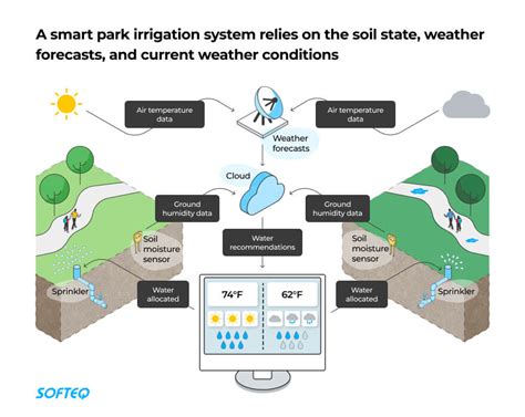 Implementing Efficient Watering and Water Management Strategies