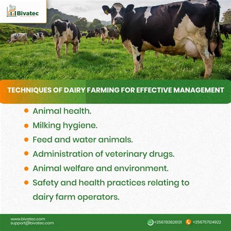 Important Skills and Knowledge for a Successful Livestock Management Journey