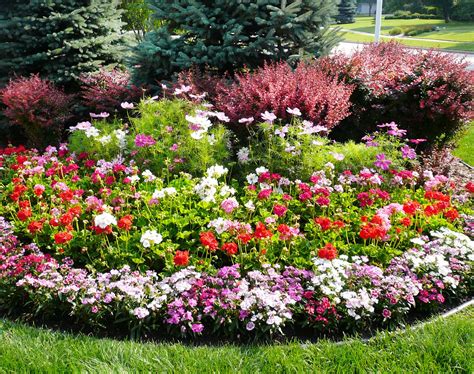 Incorporating Colorful Foliage for Year-Round Garden Beauty