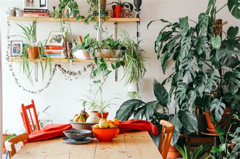 Incorporating Greenery: Infusing Life into Your Space