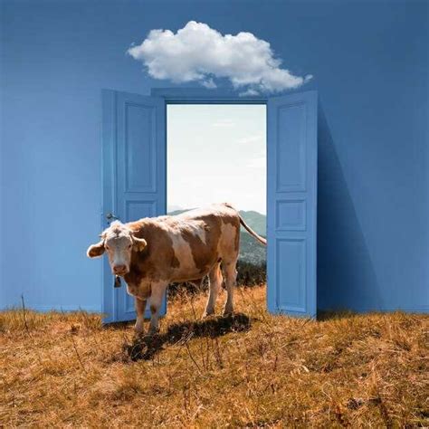 Insights into the Symbolic Meaning of a Cow Biting Your Hand in a Dream