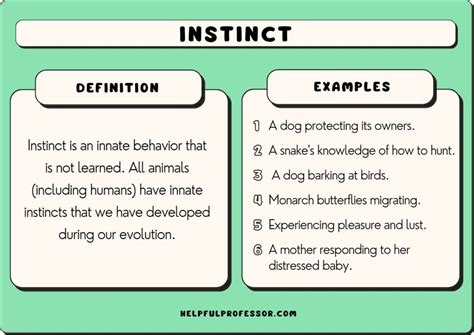 Instincts and Survival: Discovering the Primordial Significance