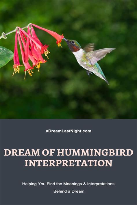 Interpretations commonly associated with dreams featuring wounded hummingbirds