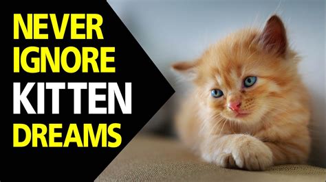 Interpretations of Kitten Dreams Across Cultures